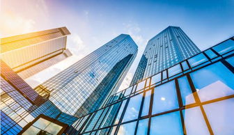 阳光控股境外美元债成功首发，获5.5倍超额认购，助力数字文化创意软件开发